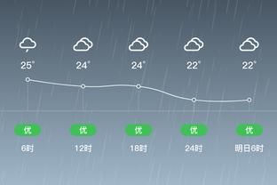 雷竞技相似app